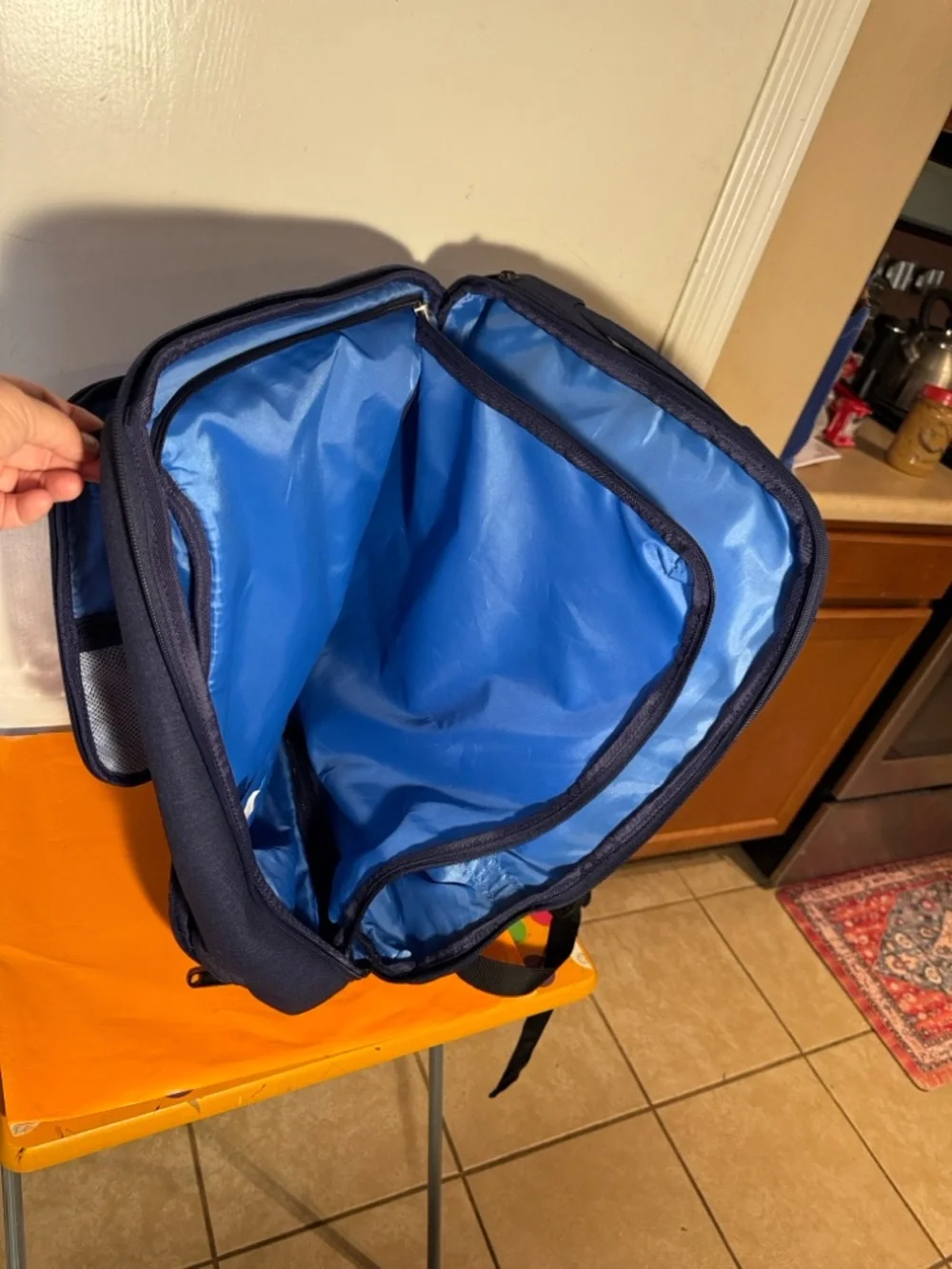 eBags Pro Slim Laptop Backpack Professional Weekender Travel EB2146-20.5